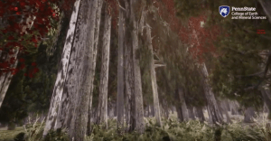 VR forest